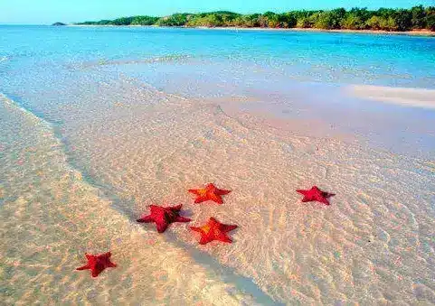 海星沙灘 STARFISH BEACH