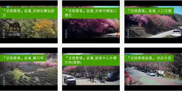 武陵農場即時花況 (1)