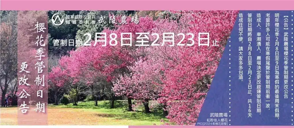 武陵農場櫻花季