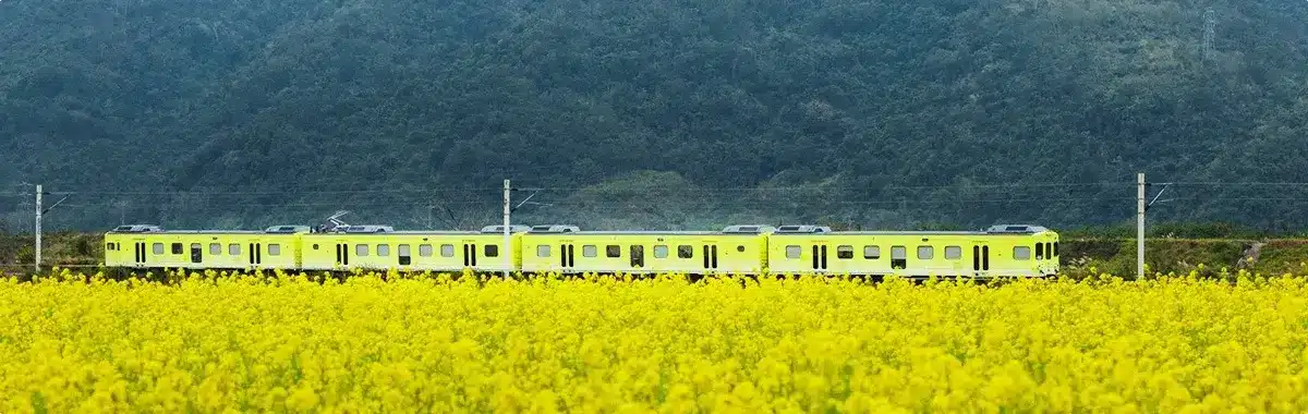山嵐號花東縱谷觀光列車：419首航！訂票、時刻表、路線、列車特色資訊 (2) (1)