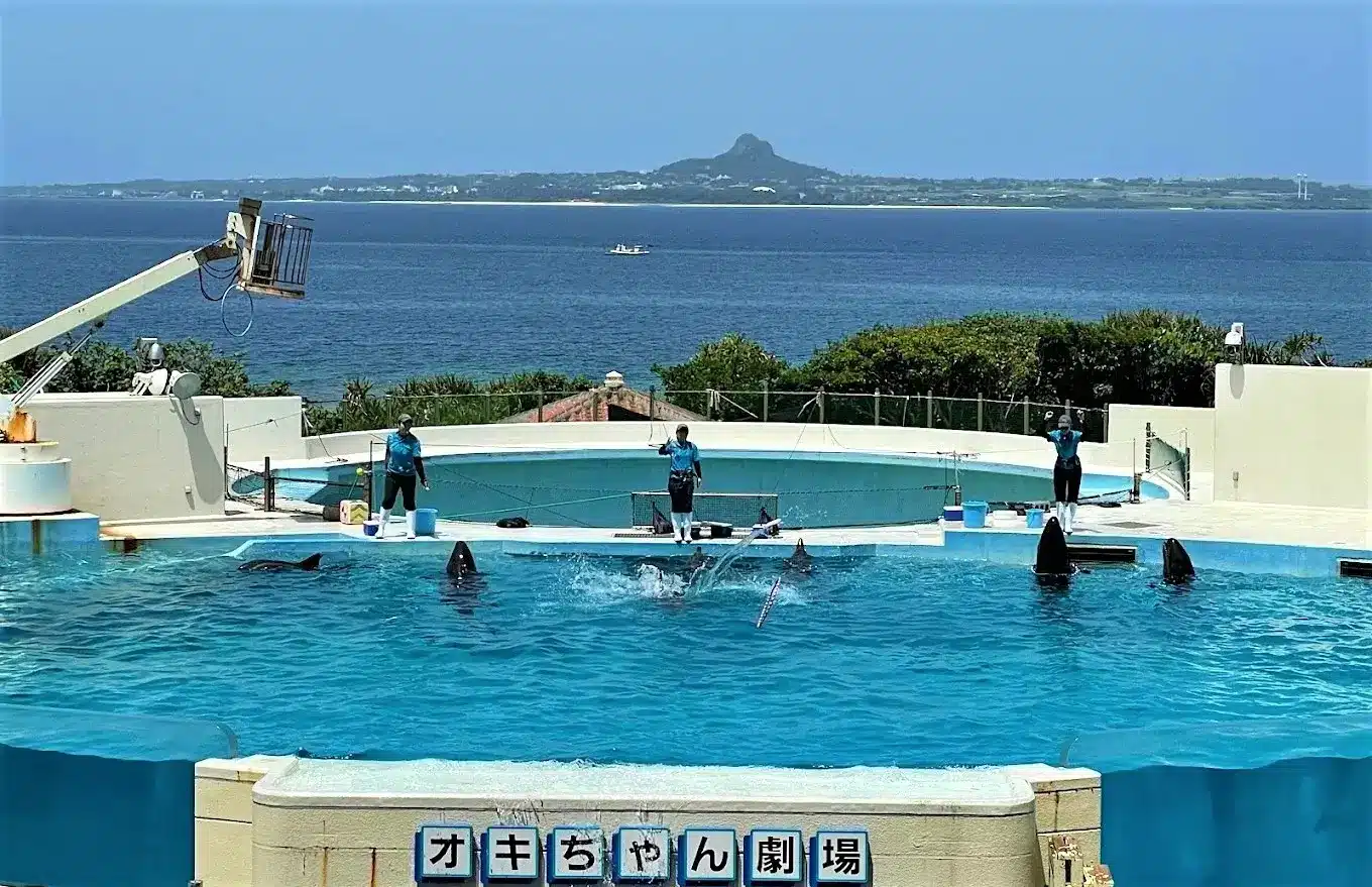 沖繩自由行-美麗海水族館