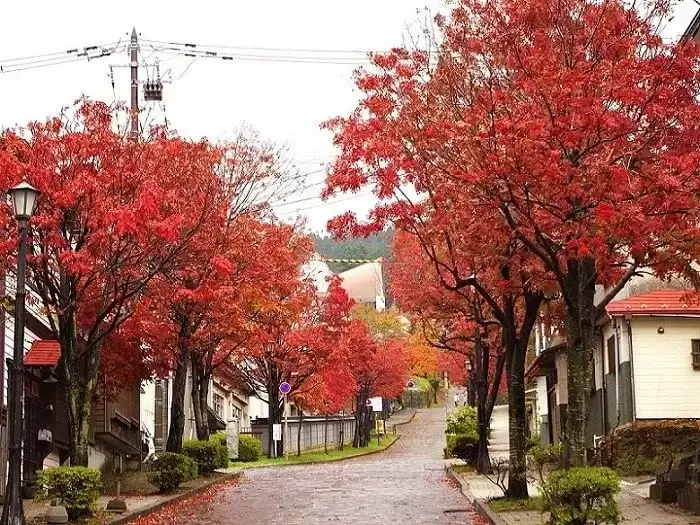 hokkaido-autumn-leaves-北海道賞楓-北海道紅葉時間-熱門賞楓景點推薦-函館山