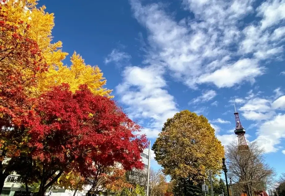 hokkaido-autumn-leaves-北海道賞楓-北海道紅葉時間-熱門賞楓景點推薦-大通公園