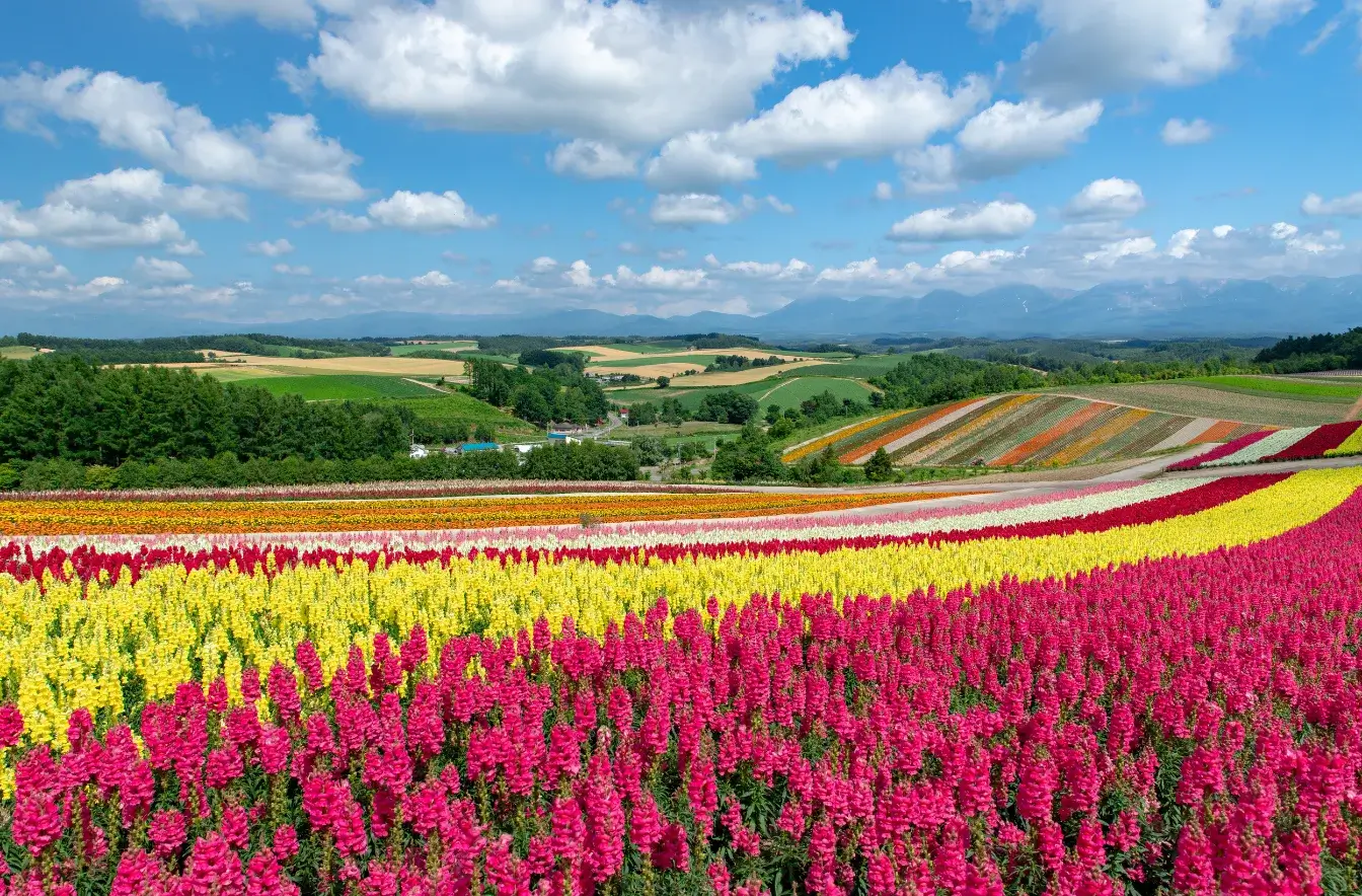 hokkaido-itinerary-北海道自由行-5~8天行程安排-景點交通住宿美食推薦 (2)