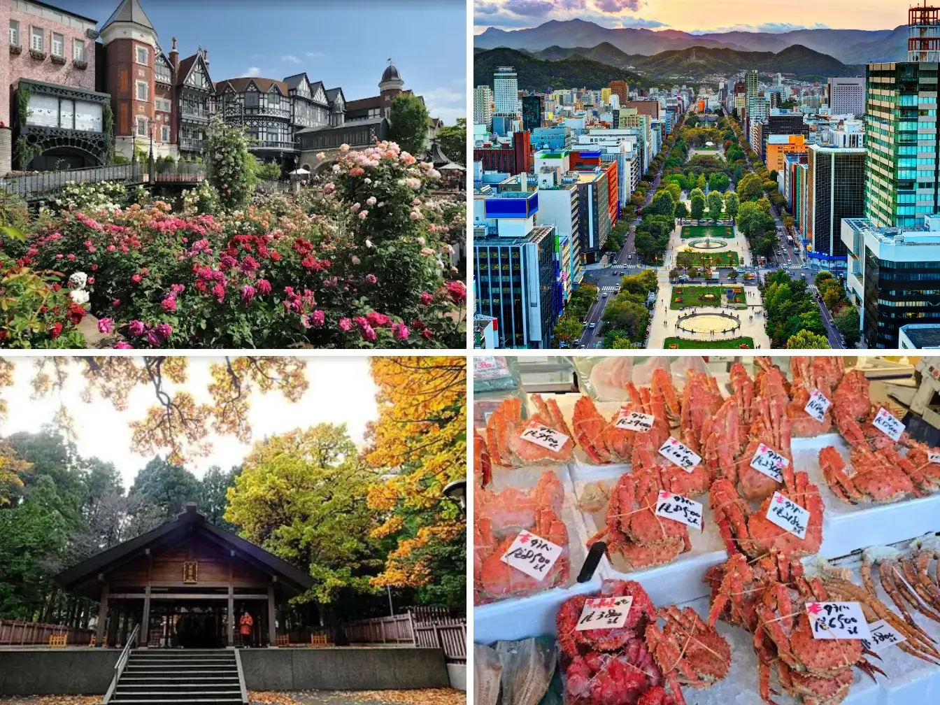 hokkaido-itinerary-北海道自由行-5~8天行程安排-景點交通住宿美食推薦 (3)