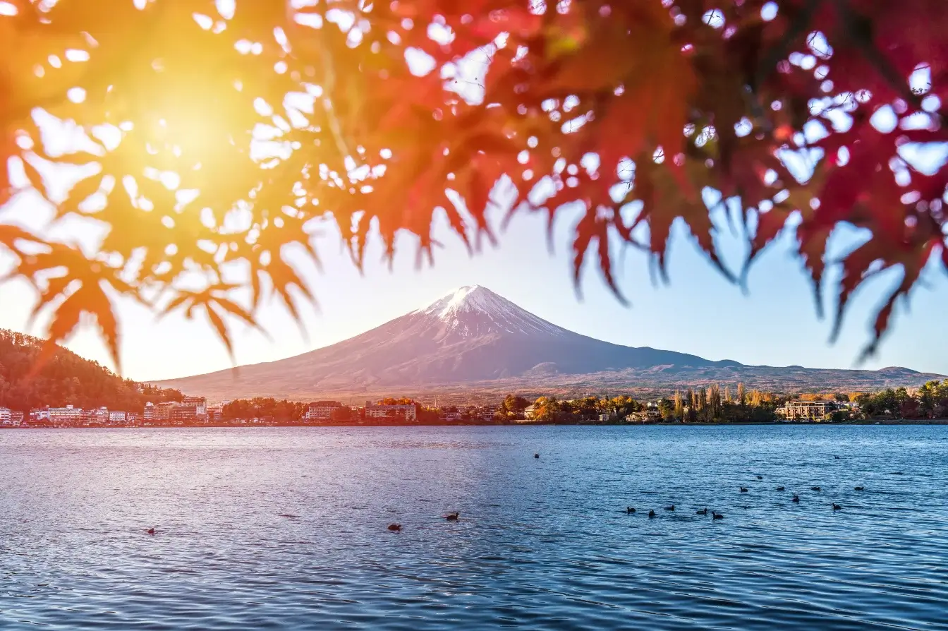 japanese-autumn-leaves-日本賞楓-日本全國紅葉預測、最佳賞楓時間、景點推薦 (4)