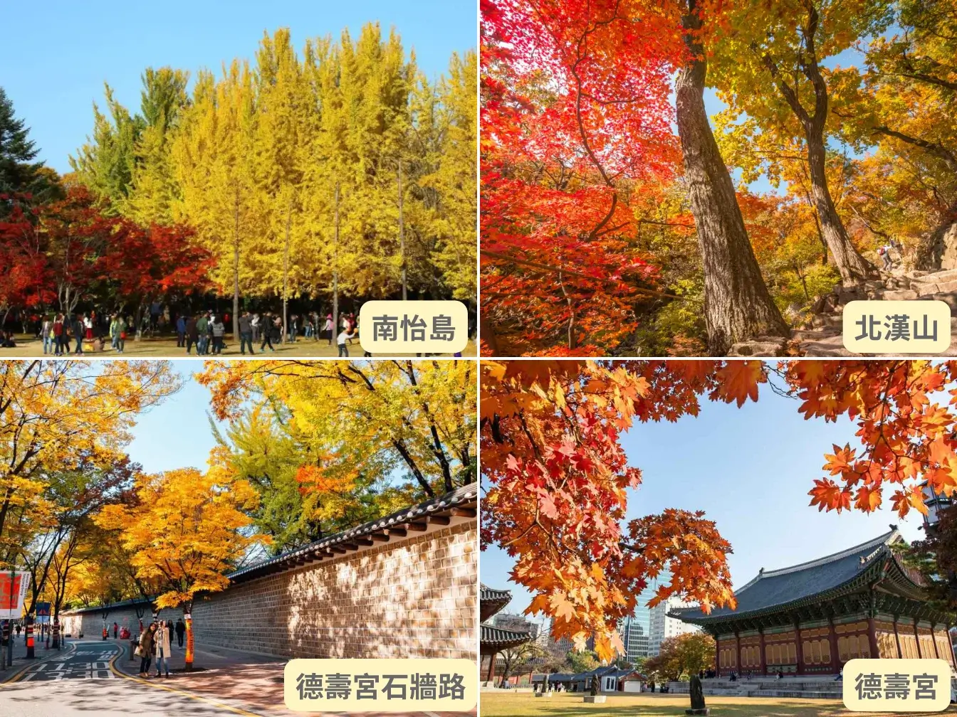 korea-autumn-leaves-韓國賞楓-首爾釜山大邱濟州島賞楓時間景點推薦 (3)