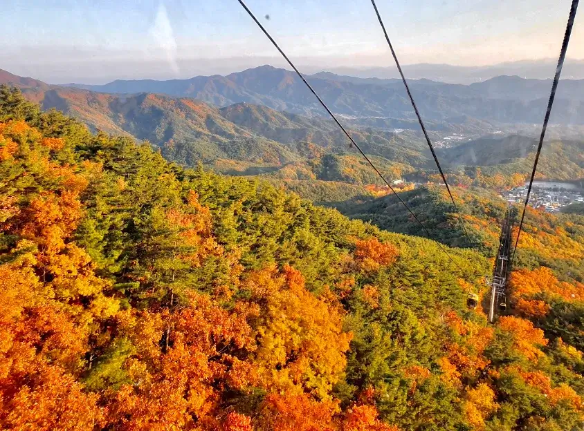korea-autumn-leaves-韓國賞楓-首爾釜山大邱濟州島賞楓時間景點推薦-八公山