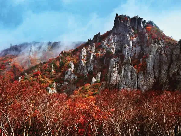 korea-autumn-leaves-韓國賞楓-首爾釜山大邱濟州島賞楓時間景點推薦-漢拏山國立公園
