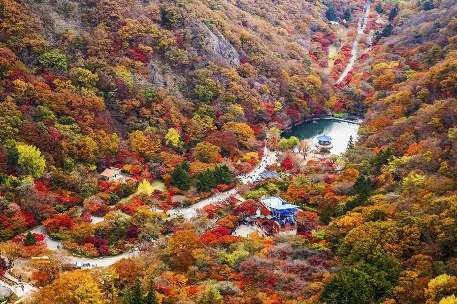 korea-autumn-leaves-韓國賞楓-首爾釜山大邱濟州島賞楓時間景點推薦內藏山