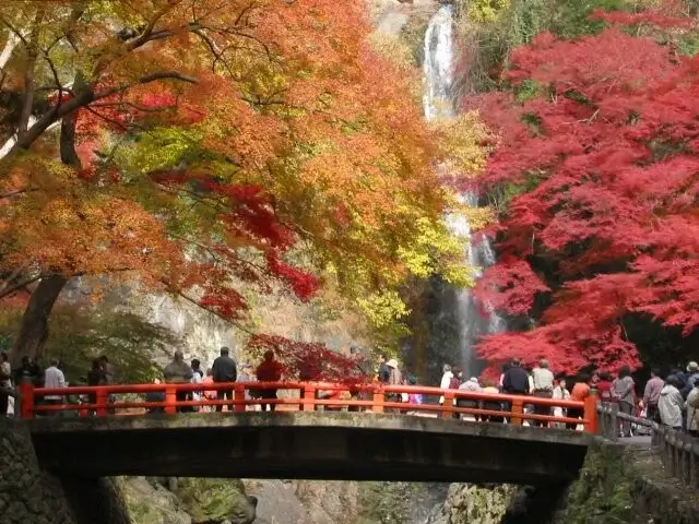 osaka-autumn-leaves-大阪賞楓-大阪紅葉時間-賞楓景點推薦 (1)