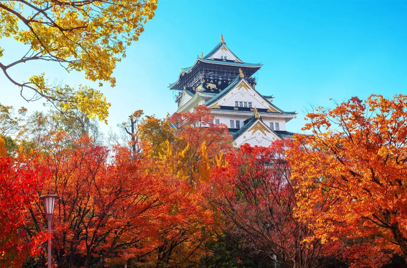 osaka-autumn-leaves-大阪賞楓-大阪紅葉時間-賞楓景點推薦 (11)