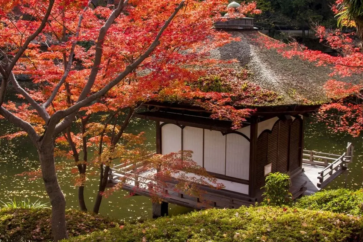 osaka-autumn-leaves-大阪賞楓-大阪紅葉時間-賞楓景點推薦 (4)