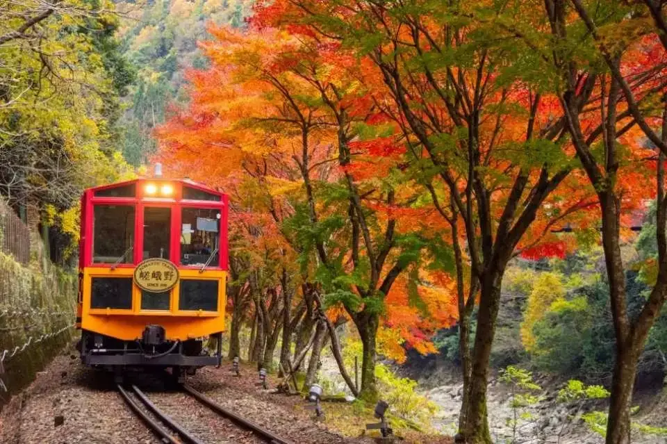 osaka-autumn-leaves-大阪賞楓-大阪紅葉時間-賞楓景點推薦 (5)