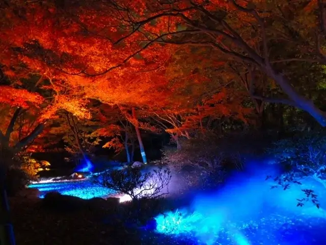 tokyo-autumn-leaves-東京賞楓-關東熱門賞楓景點推薦-六義園