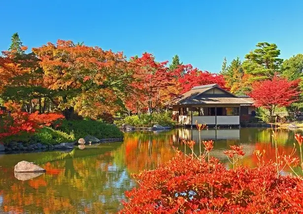 tokyo-autumn-leaves-東京賞楓-關東熱門賞楓景點推薦-昭和紀念公園