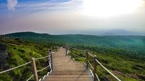 jeju-itinerary-濟州島自由行-5~7天行程安排，景點交通住宿美食 (2)