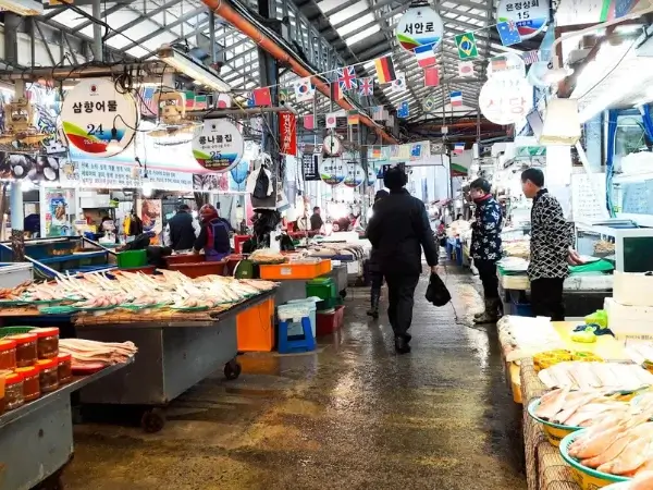 jeju-itinerary-濟州島自由行-5~7天行程安排，景點交通住宿美食 (5)