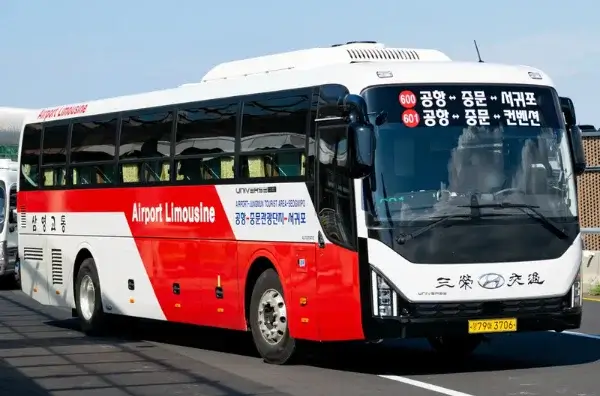 jeju-transportation-濟州島交通-機場巴士市區巴士觀光巴士，不自駕自由行 (9)