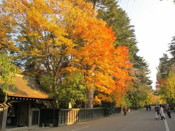 northeast-japan-autumn-leaves-東北賞楓景點推薦 (10)