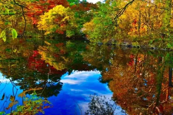 northeast-japan-autumn-leaves-東北賞楓景點推薦 (14)