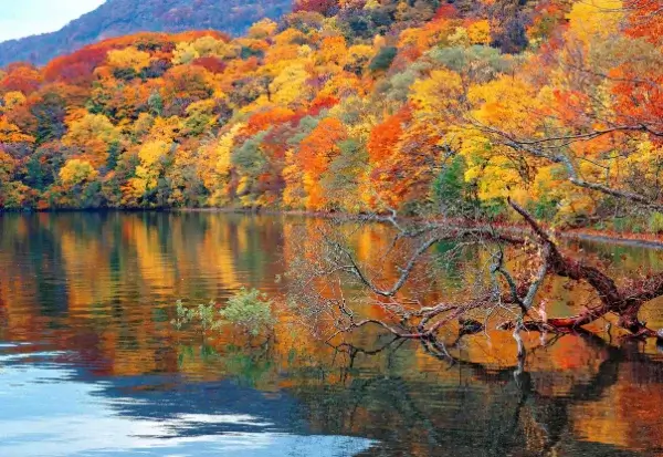 northeast-japan-autumn-leaves-東北賞楓景點推薦 (15)
