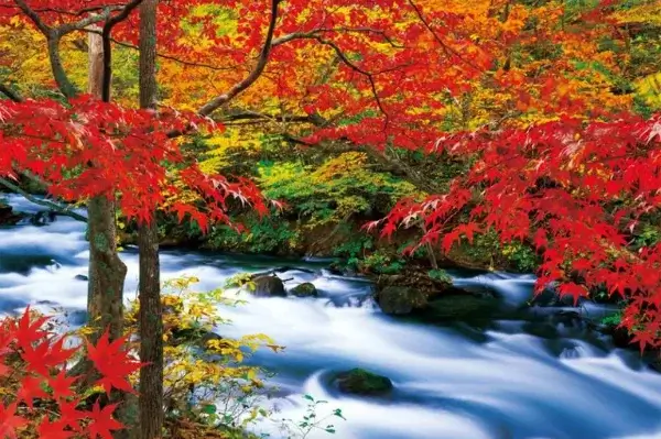 northeast-japan-autumn-leaves-東北賞楓景點推薦 (6)
