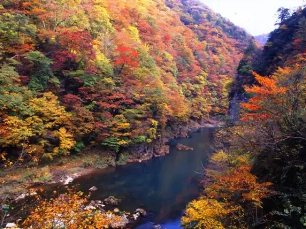 northeast-japan-autumn-leaves-東北賞楓景點推薦 (9)