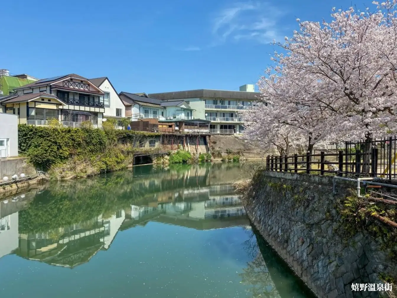 saga-itinerary-日本佐賀自由行-5~7天行程安排，景點交通住宿美食推薦(12)