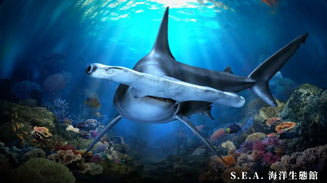 singapore-itinerary-新加坡自由行-行程安排，景點交通住宿美食推薦 (6)