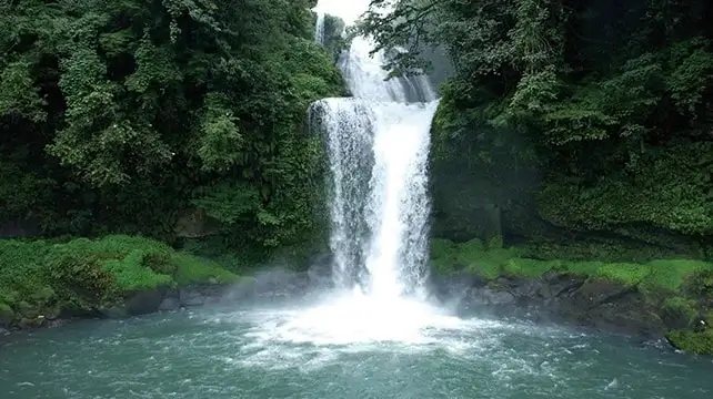 yufuin-no-mori-由布院之森預約訂票：時刻表、票價、座位劃位一次看！買單程還是 JR PASS？ (3)