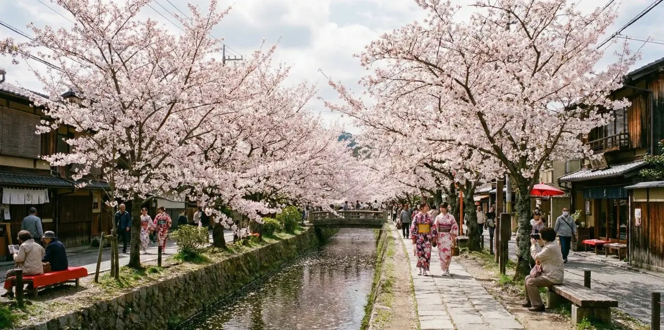 japan-sakura-日本櫻花季開花時間預測&各城市賞櫻景點推薦 (3)