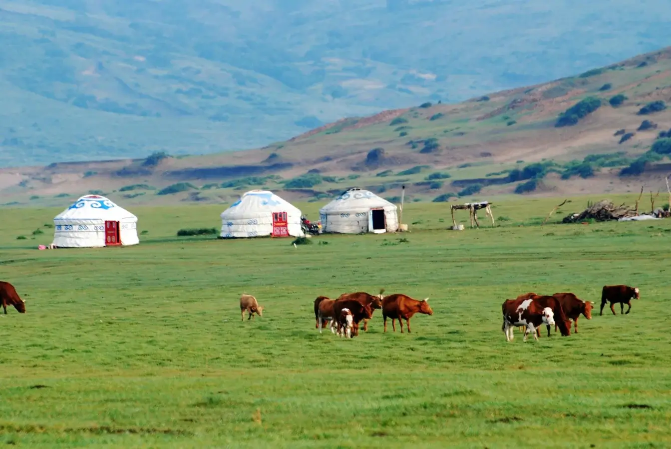 mongolian-simcard-蒙古網卡推薦-實體網卡eSIM，上網流量方案網卡推薦 (2)